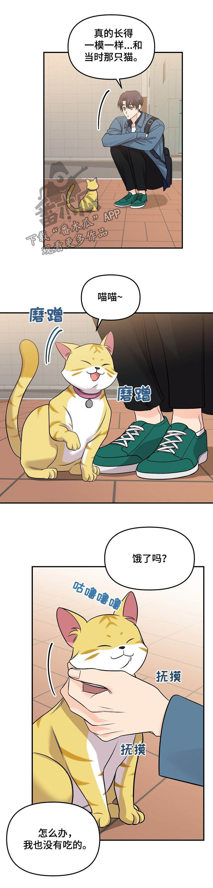 老虎花 第96话 第3页
