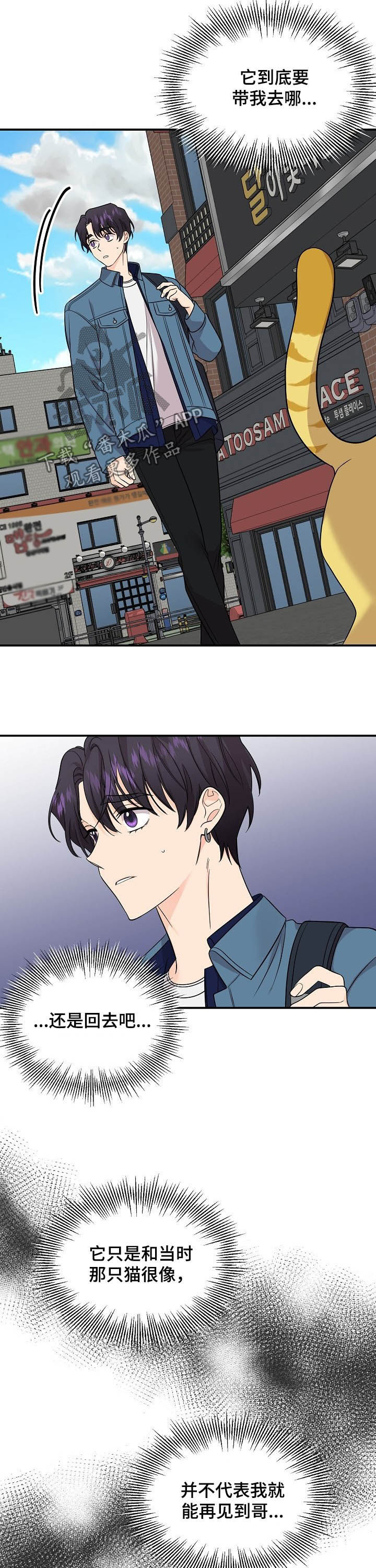 老虎花 第96话 第8页