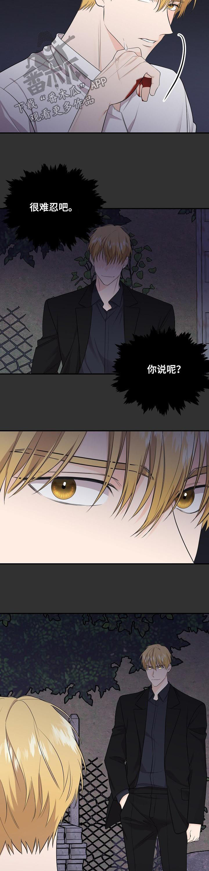 老虎花 第88话 第3页