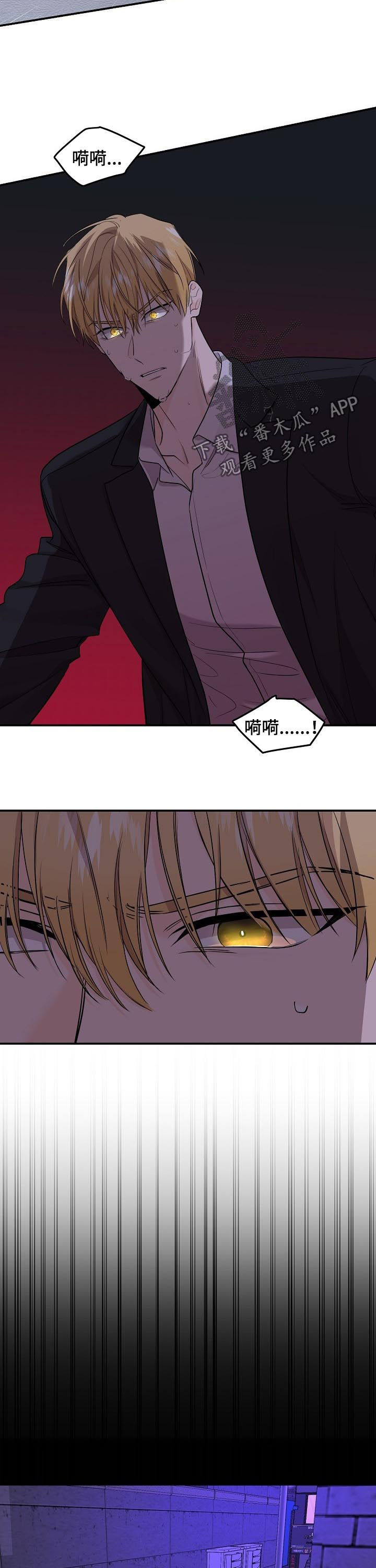 老虎花 第75话 第7页