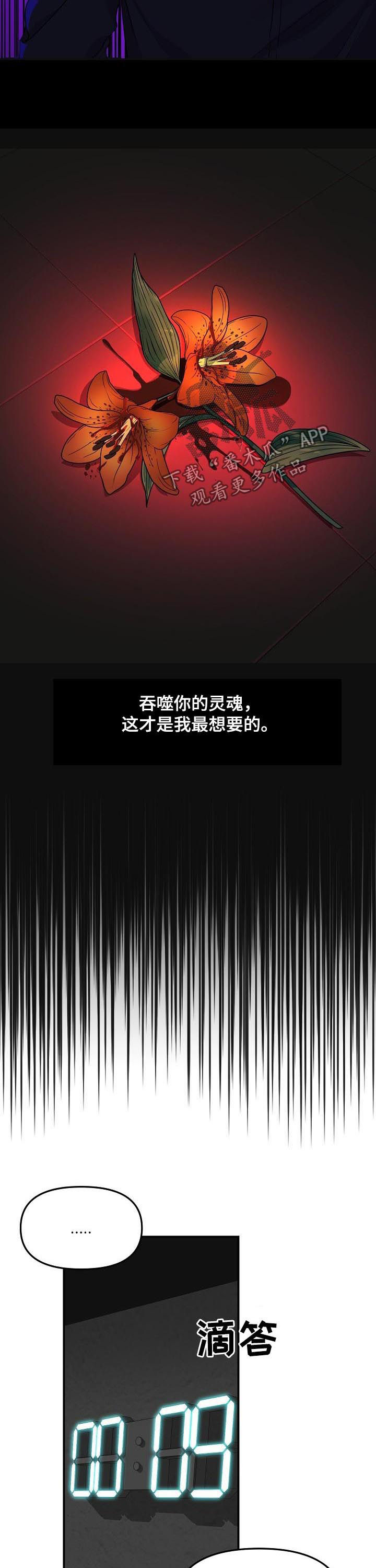 老虎花 第48话 第5页