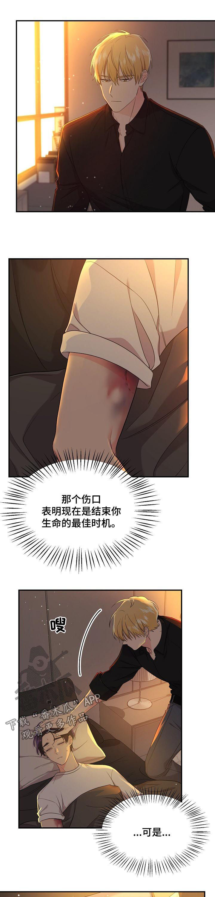 老虎花 第46话 第4页