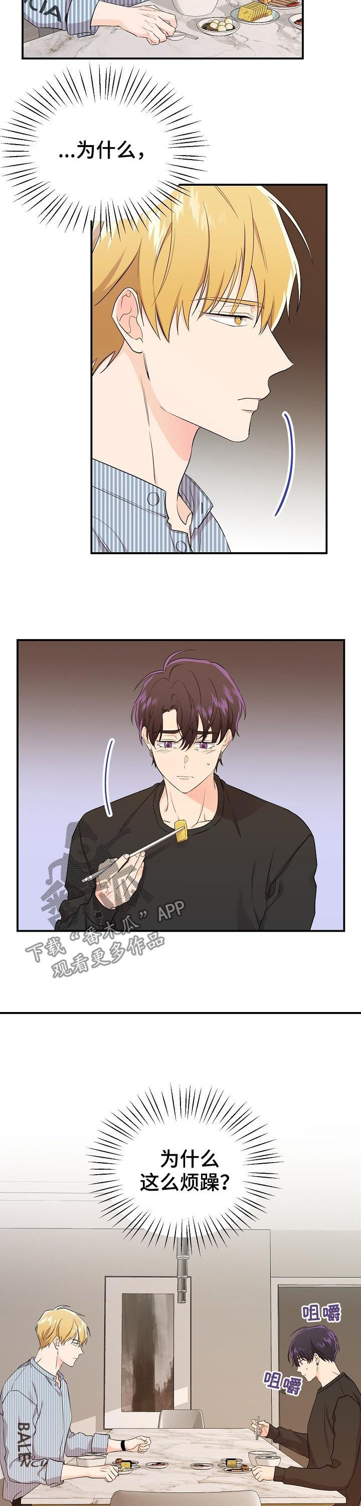 老虎花 第41话 第4页