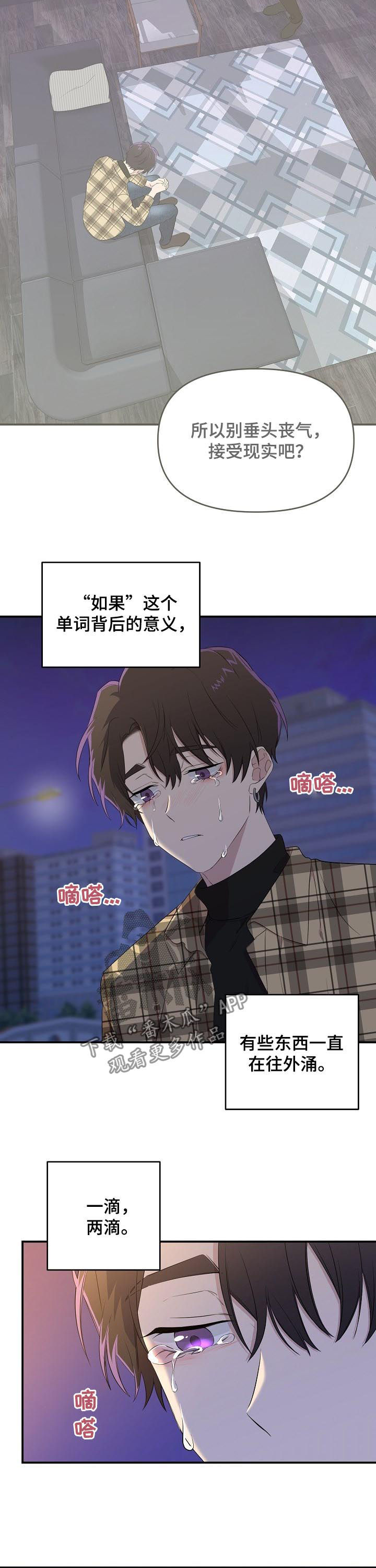 老虎花 第31话 第2页