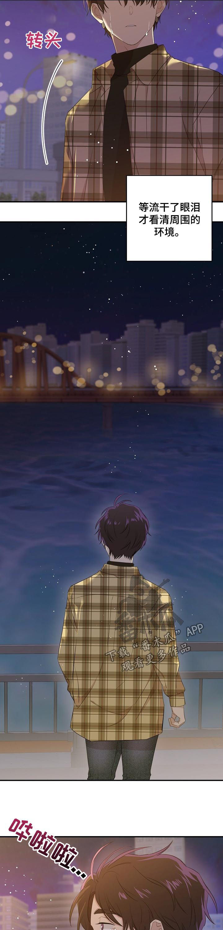 老虎花 第31话 第3页