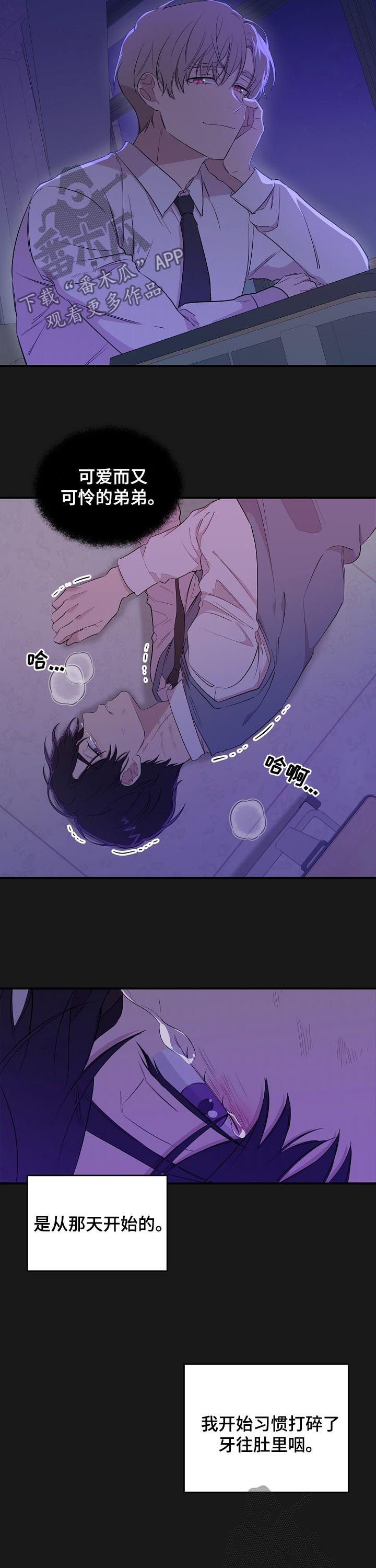 老虎花 第31话 第5页