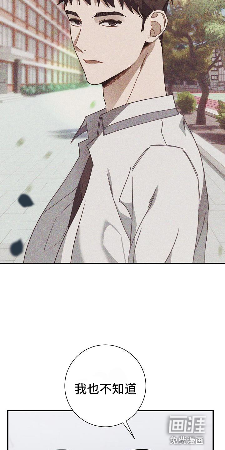 爱情系统 第31话 第10页