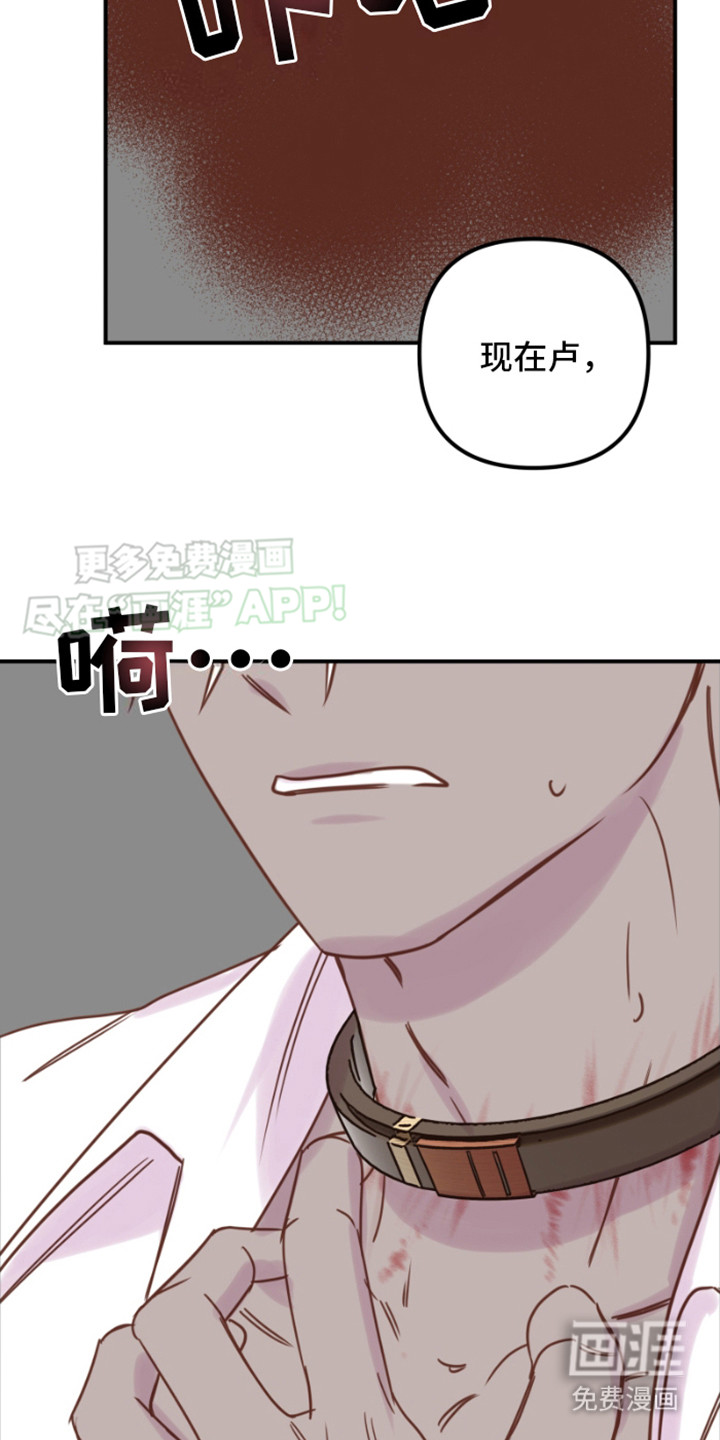 绿色世界 第8话 第15页