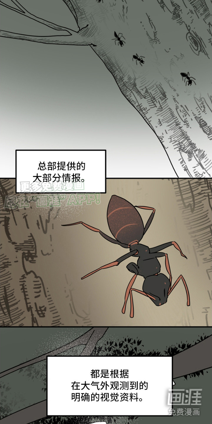 绿色世界 第19话 第9页