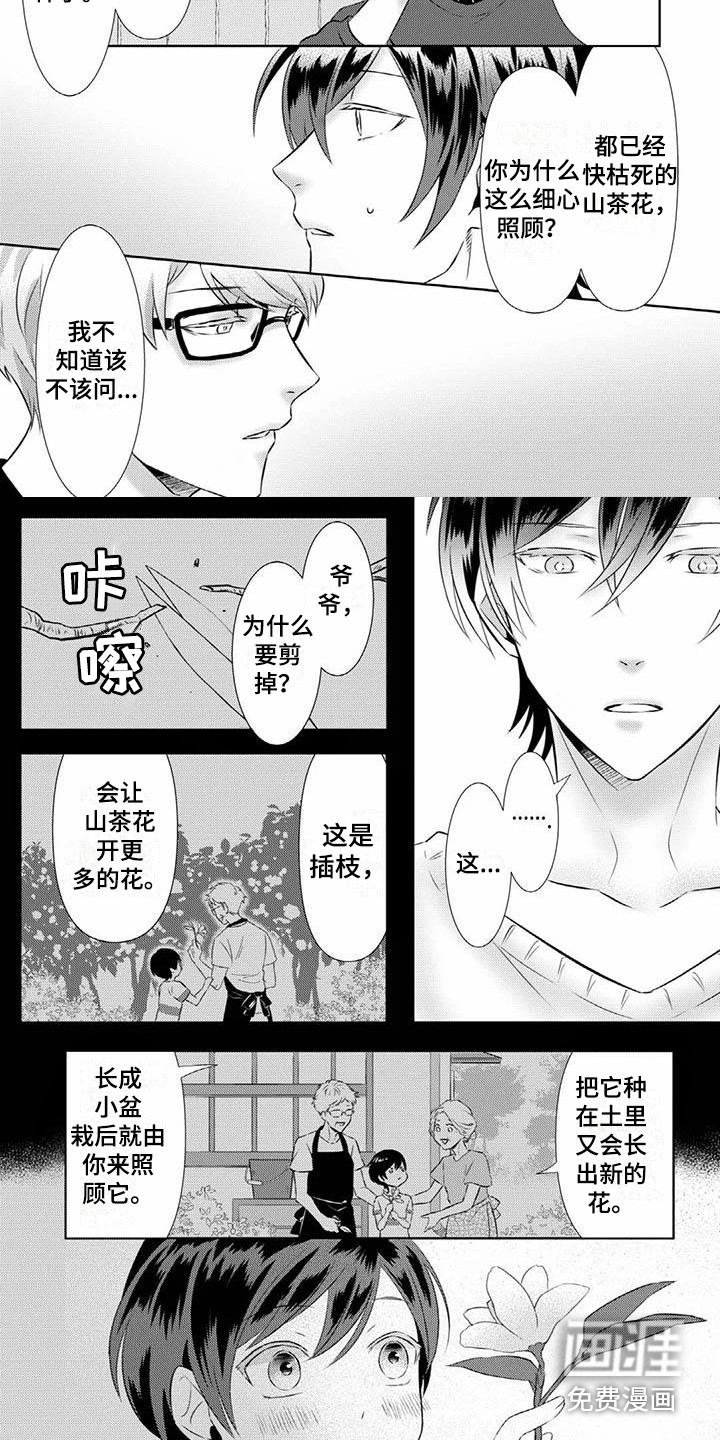 不见凋零 第4话 第5页