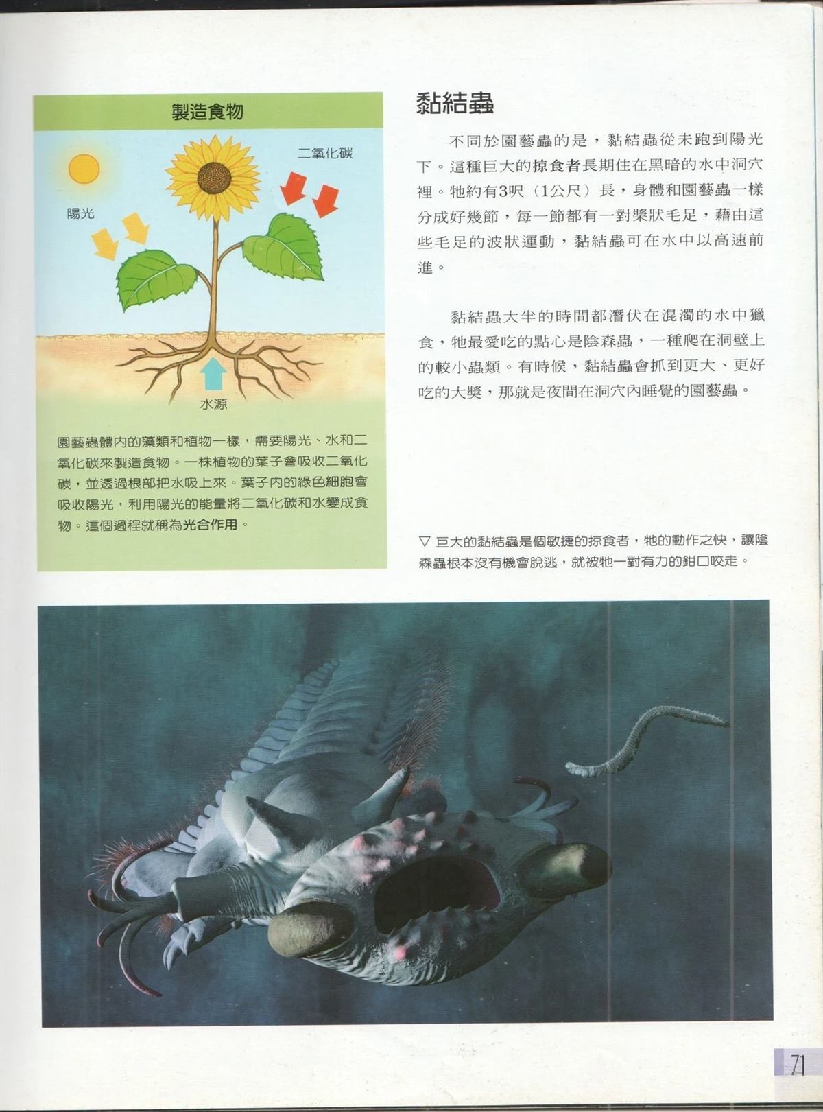 未来狂想曲 第1卷 第78页