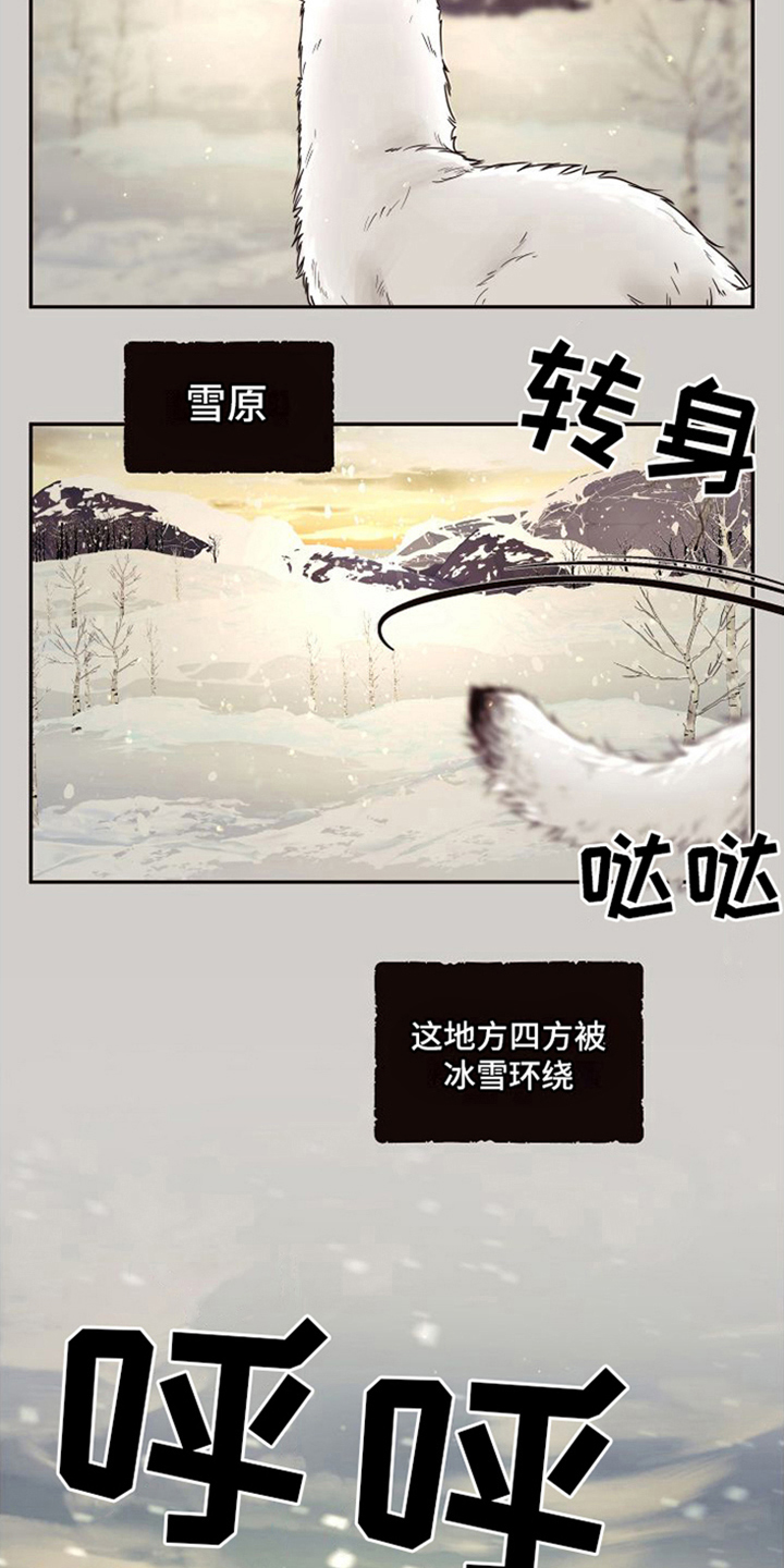 北极兔 第1章：雪国 第2页
