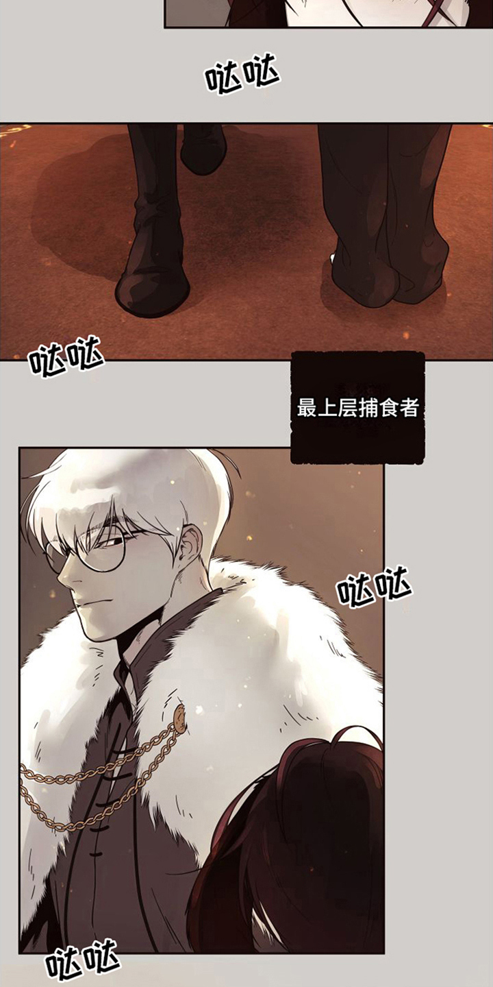 北极兔 第2章：支配者 第15页