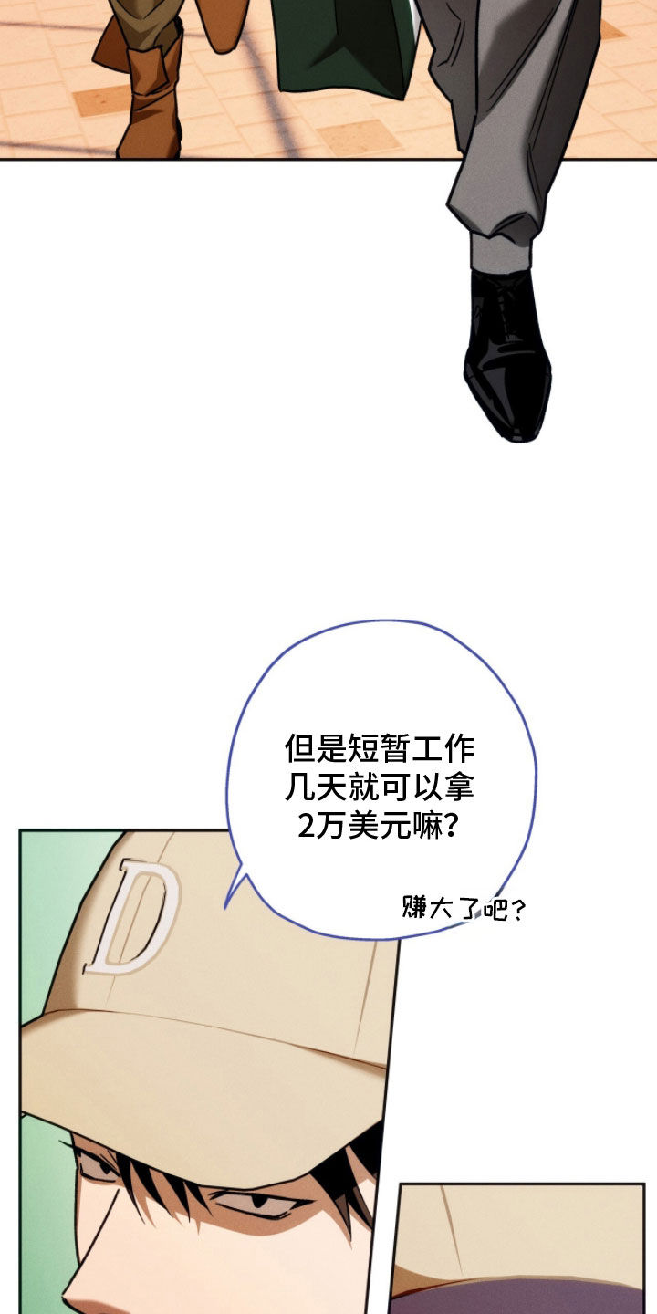 夜的奖励 第244话 第15页