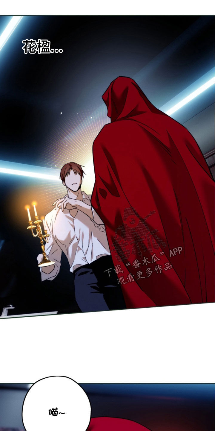 夜的奖励 第207话 第11页