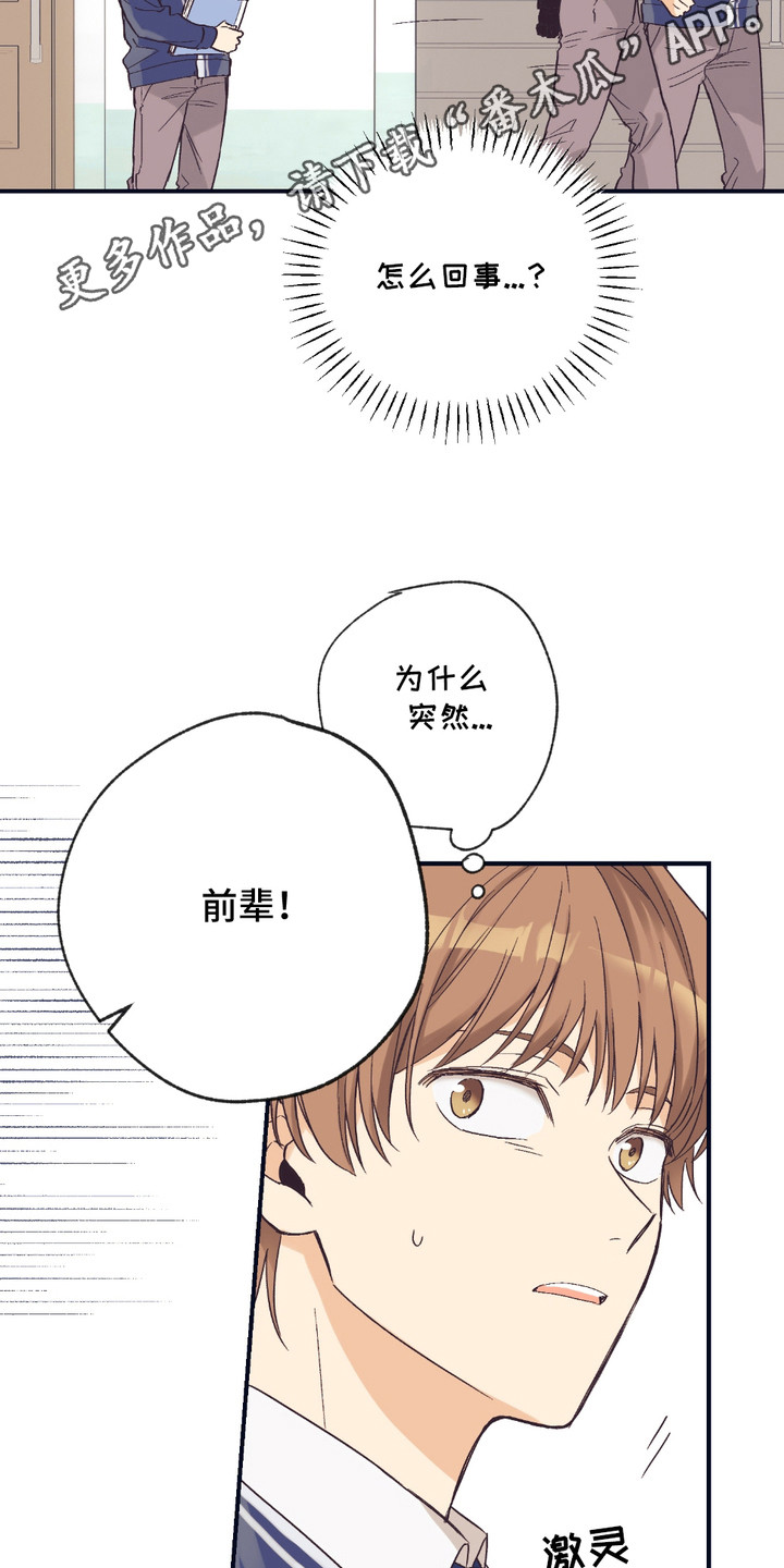 我的猛兽伴侣 第7话 第11页