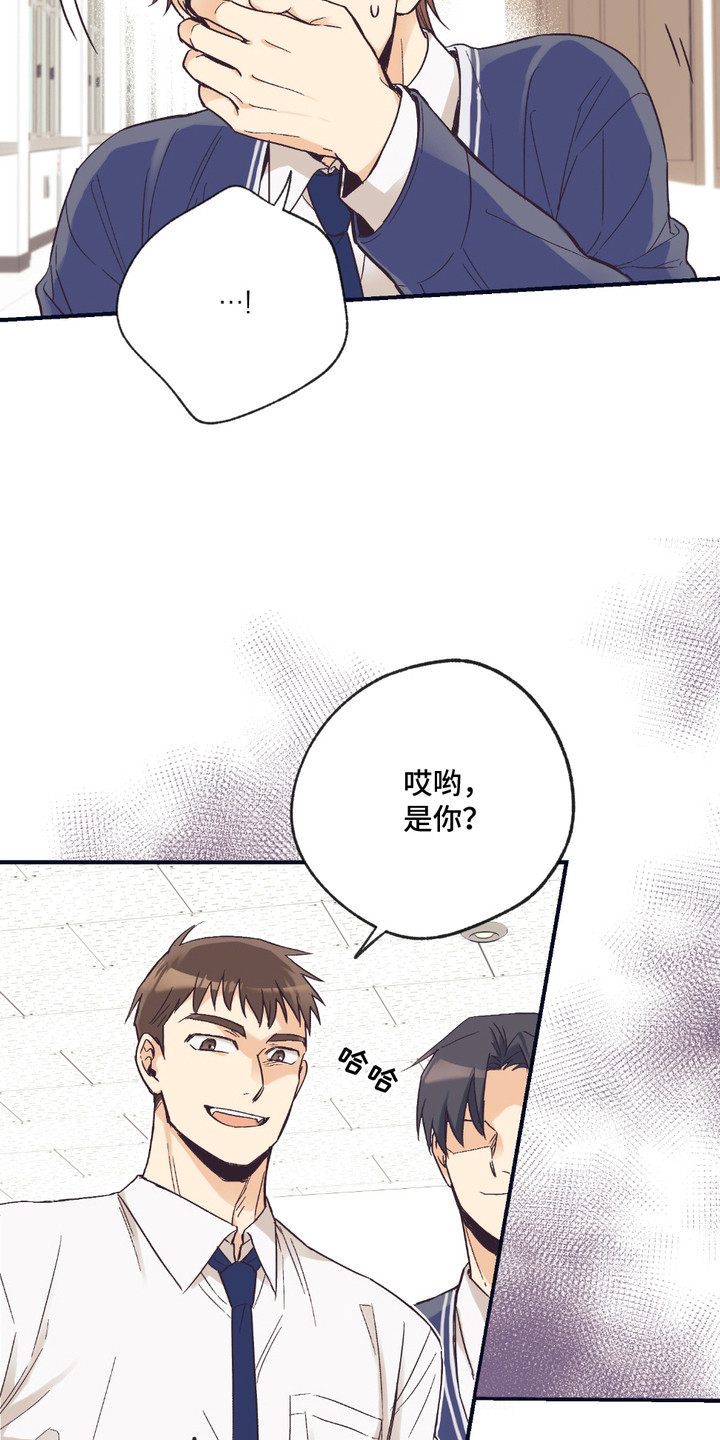 我的猛兽伴侣 第7话 第6页