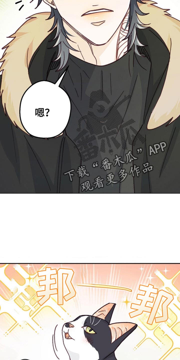 武赫的罗衣 第64话 第8页