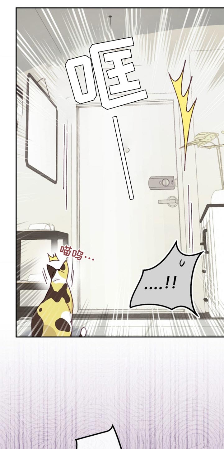 武赫的罗衣 第58话 第39页