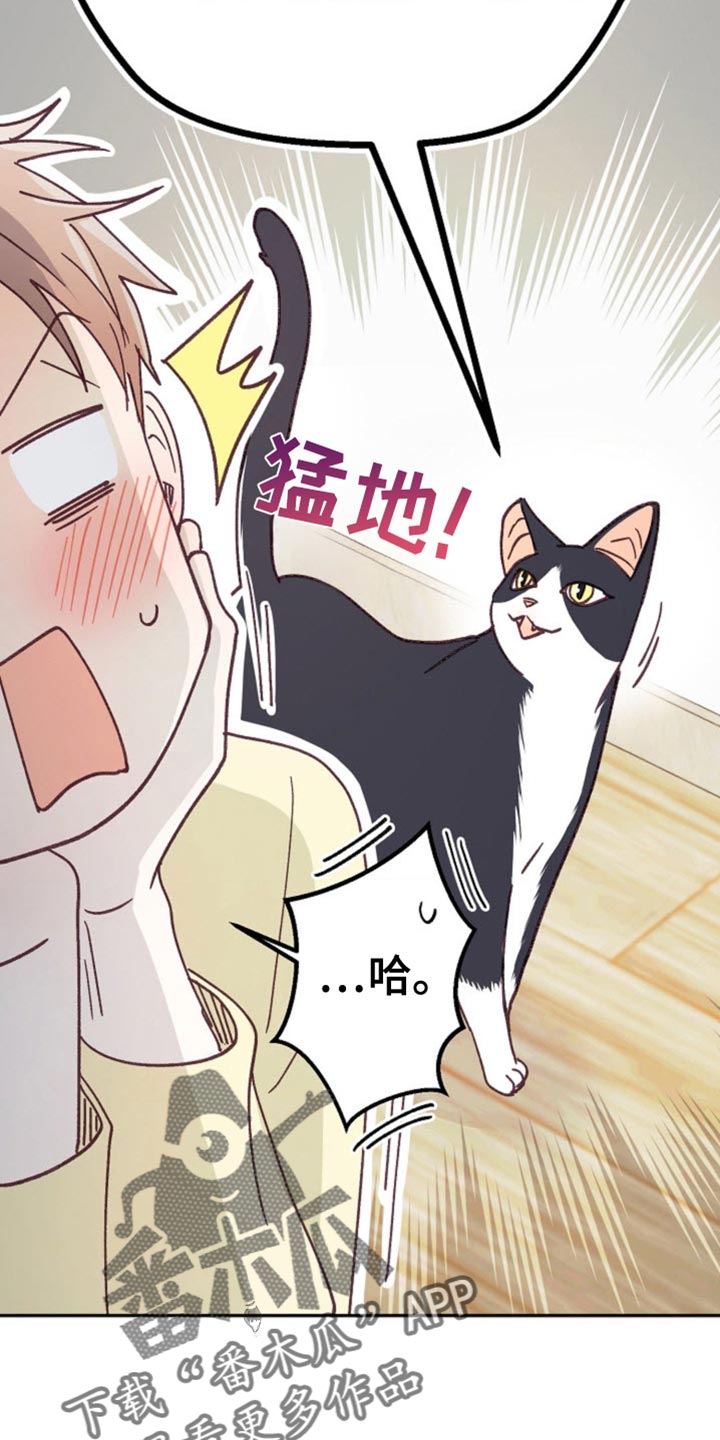 武赫的罗衣 第39话 第33页