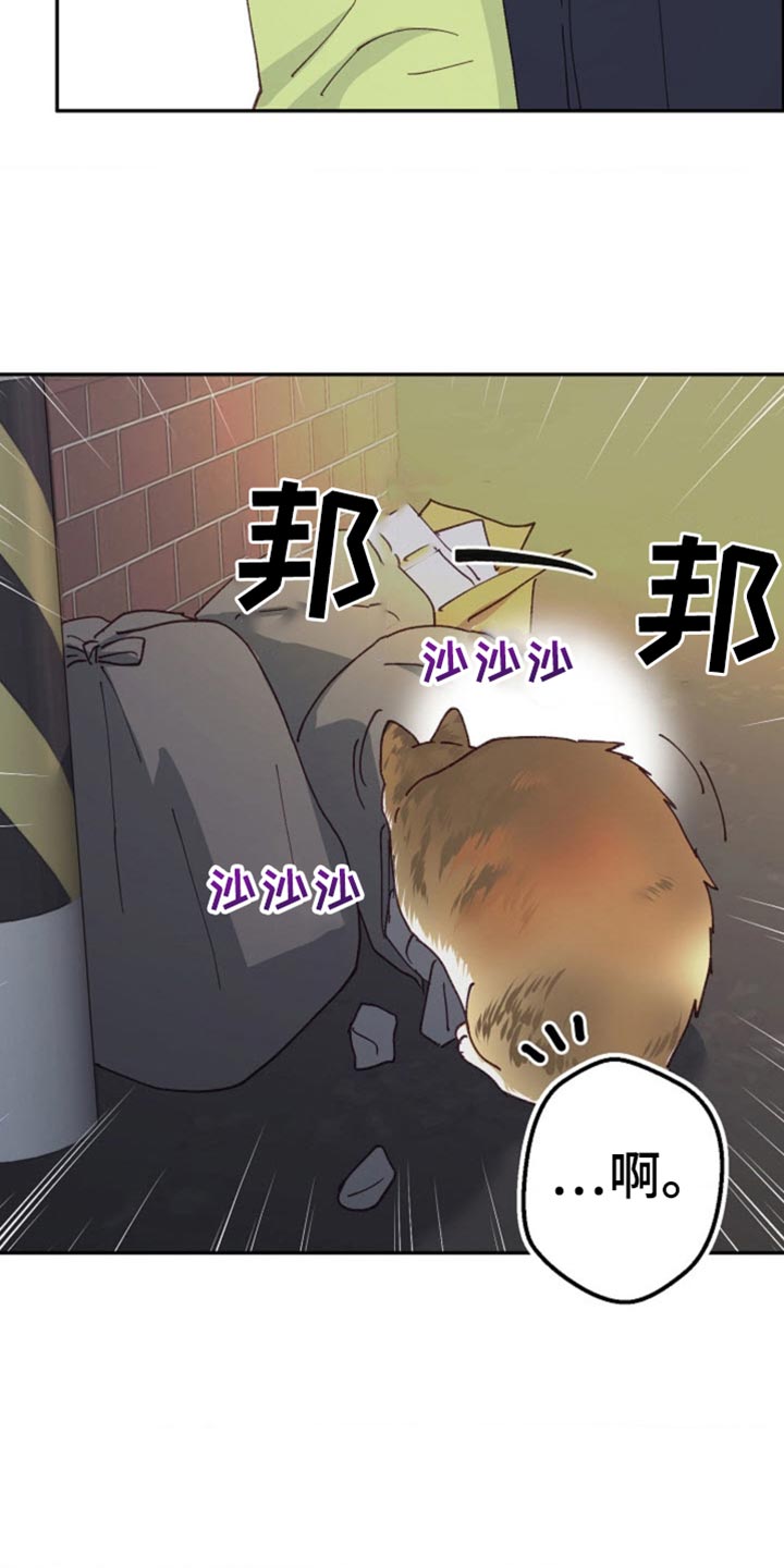 武赫的罗衣 第36话 第11页