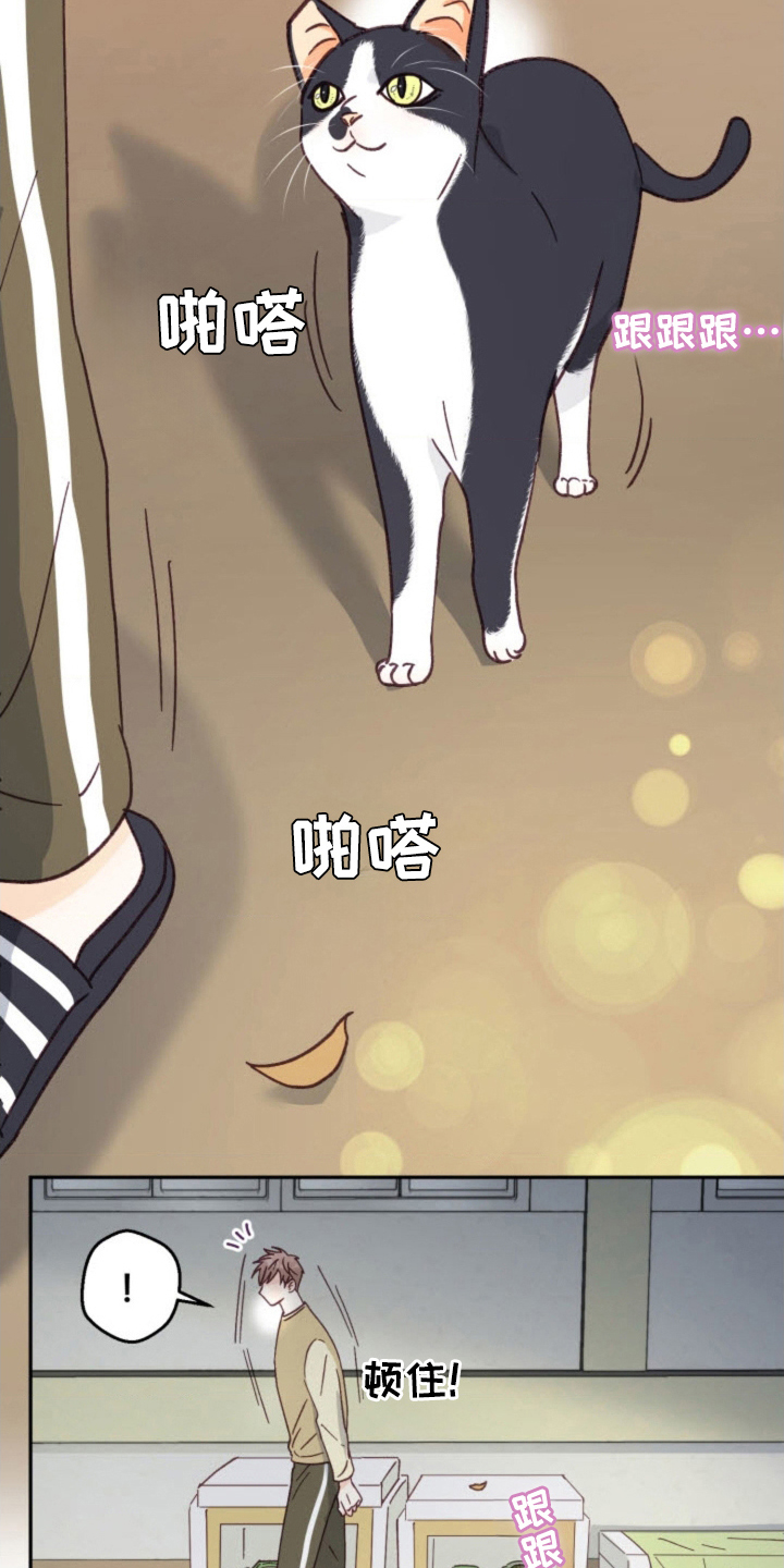 武赫的罗衣 第30话 第22页