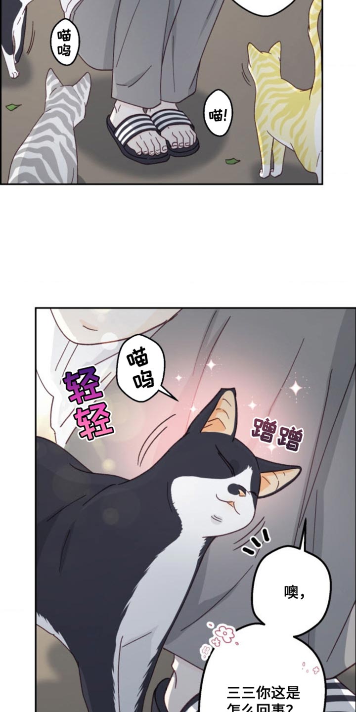 武赫的罗衣 第26话 第16页