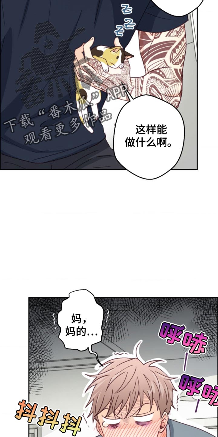 武赫的罗衣 第24话 第6页