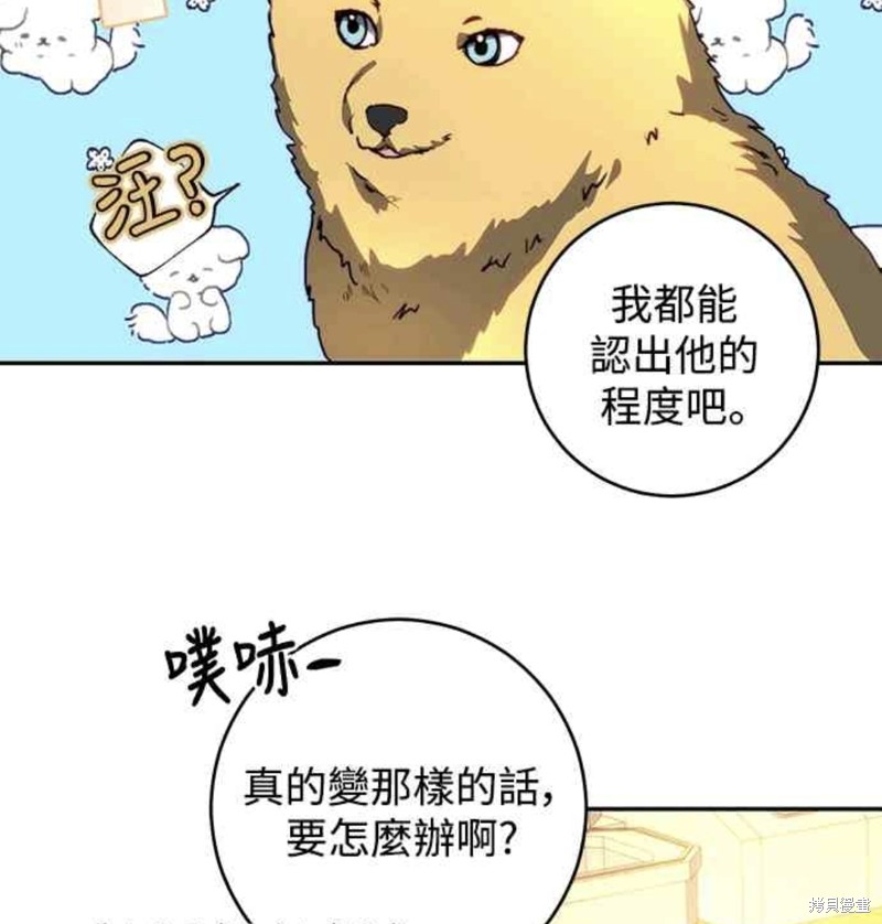 皇女，一朵疯狂绽放的花 第43话 第43页