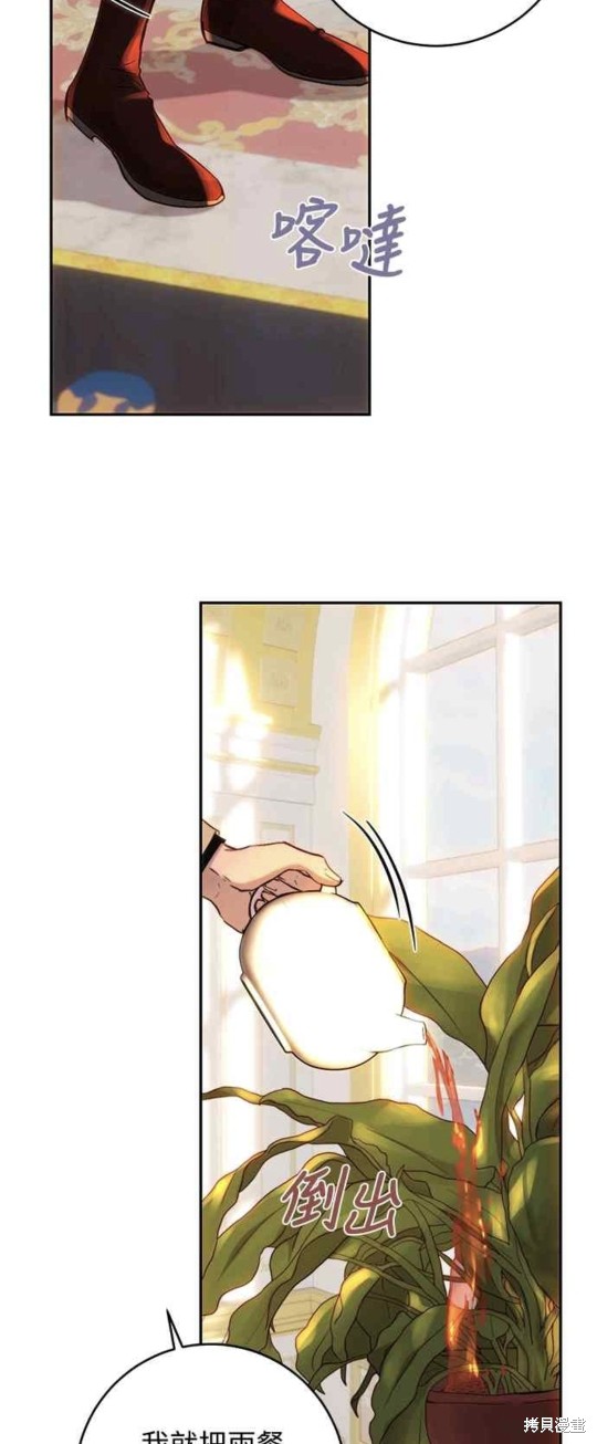 皇女，一朵疯狂绽放的花 第48话 第17页